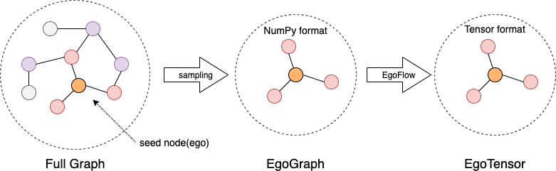 _images/egograph.png